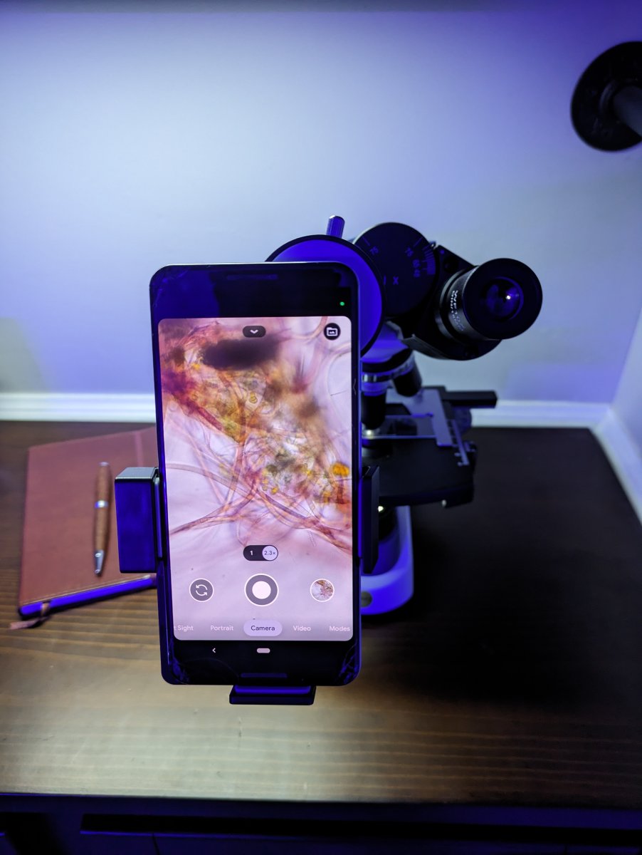 Arcane Corals reef lab microscope setup